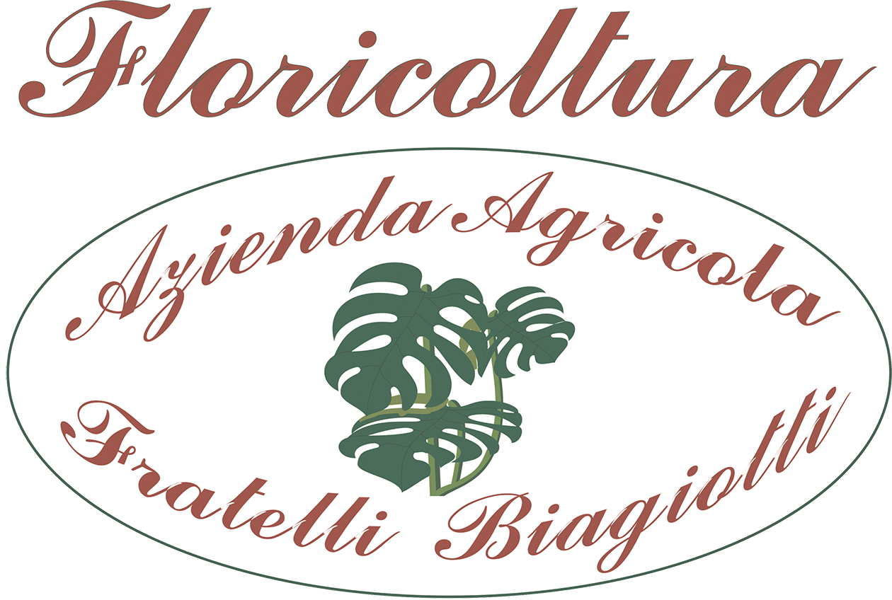 Azienda Agricola Fratelli Biagiotti